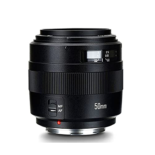YONGNUO YN50 mm F1.4C AF/MF-Objektiv Vollformat, kompatibel mit Canon Digitalkameras YONGNUO YN50 mm F1.4C AF/MF-Objektiv Vollformat, kompatibel mit Canon Digitalkameras von YONGNUO