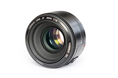 YONGNUO YN50MM Standard Prime Objektiv YN50mm F1.8 Autofokus-Objektiv mit großer Blende für Canon EF Mount Rebel DSLR-Kamera von YONGNUO