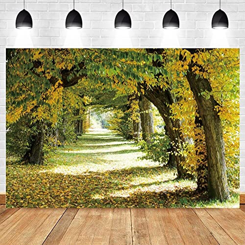 Fotografie Hintergrund Herbst Herbst-Wald Gelbe Vinyl Foto Hintergrund Studio Fotografische Hintergründe Photophone Photozone Prop300x200cm von YOOOOOOOY