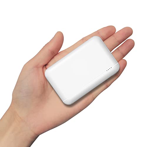 Powerbank 10000mAh Duale 2.4A Hochgeschwindigkeit Power Bank, Ladegerät USB-C Eingang Externer Akku Batterie für Handy iPhone 12 iPad Samsung S21 Huawei Xiaomi usw von YOOSANG