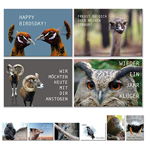 Geburtstagskarten Postkarten Set (10 Motive) lustig Glückwunschkarten, Postkarten Tier Karten lustige Sprüche, Geschenk Karte zum Geburtstag Geburtstagsgeschenk Grußkarten Mann Frau birthday cards von YOU DECIDE MUNICH