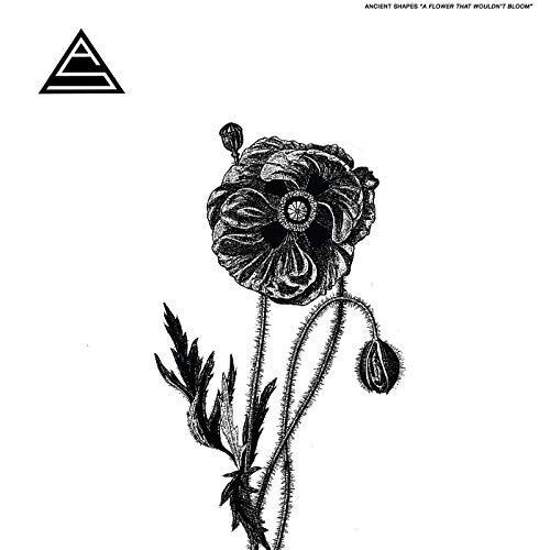 Flower That Wouldn'T Bloom [Vinyl LP] von YOU'VE CHANGED