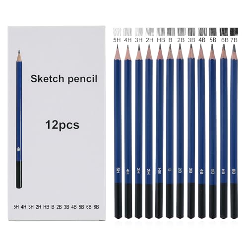 YPYMOD 12 Stüch Zeichenstifte Bleistifte, Bleistifte Set 5H 4H 3H 2H HB B 2B 3B 4B 5B 6B 8B, Skizzierstifte, Zeichenbleistift für Kinder Erwachsene Anfänger Professionelle Zeichnen von YPYMOD