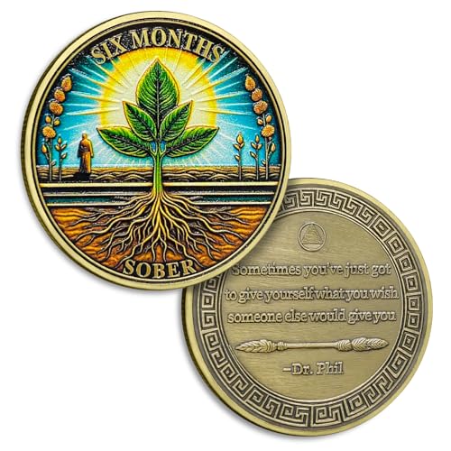 6 Monate Nüchternheitsmünze Sechs Monate Nüchternheit Münzen Juni AA Chips und Medaillon Sun Chip Alkoholiker Anonyme Münze Wiederherstellung Jahrestag Token Nüchternheit Geschenke für Frauen Männer 6 Monate Nüchternheitsmünze Sechs Monate Nüchternheit Münzen Juni AA Chips und Medaillon Sun Chip Alkoholiker Anonyme Münze Wiederherstellung Jahrestag Token Nüchternheit Geschenke für Frauen Männer von YRCKUDZKG