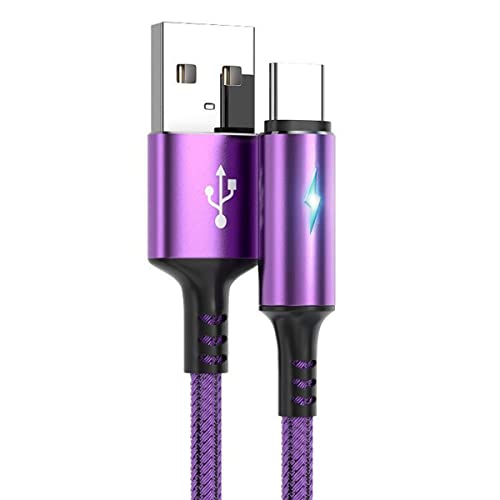 YSJJZRL USB Typ C Kabel, USB A auf USB C LED 2A Schnellladung Geflochtenes kompatibles Ladekabel mit Samsung Galaxy S10 S9 S8 Plus, Note 9 8 (1,2 Mio,Lila) von YSJJZRL