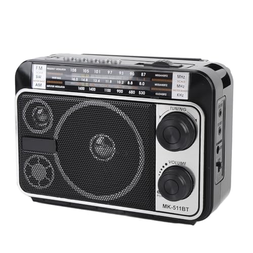 Tragbarer AM FM SW -Radiotoiler, Lautsprecher, Kompakt und Leicht Zum Angeln, Camping, Musikwiedergabe mit USB, TF -Karte (EU-Stecker) von YUEHISY