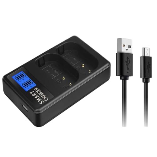 Akku LCD Ladezubehör für DCS1 DCS1M DCS1R DCS1RM DCS1H Akku Ladestation von YUGSHNKFC