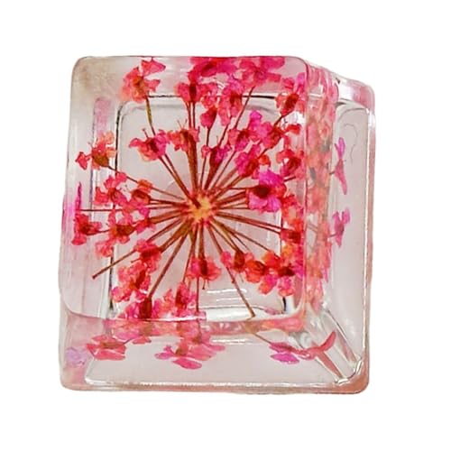 Durchsichtige Harz-Tastenkappe mit echter ewiger Blume, einzigartig für mechanische Tastatur, Anpassungs-Tastenkappe, 1 Stück Durchsichtige Harz-Tastenkappe mit echter ewiger Blume, einzigartig für mechanische Tastatur, Anpassungs-Tastenkappe, 1 Stück von YUGSHNKFC