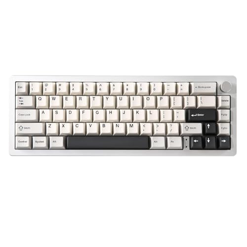 YUNZII AL66 Kabellose mechanische Tastatur, 65% Drehregler Aluminium Gaming Tastatur Bluetooth/2.4G/Wired Hot Swappable Switches, Dichtung montiert RGB Tastatur für Win/Mac(Milchschalter, Silber) von YUNZII