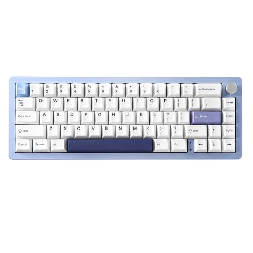 YUNZII AL66 Kabellose mechanische Tastatur, 65% Drehregler Aluminium Gaming Tastatur Bluetooth/2.4G/Wired Hot Swappable Switches, Dichtung montiert RGB Tastatur für Win/Mac(Milchschalter, blau) von YUNZII