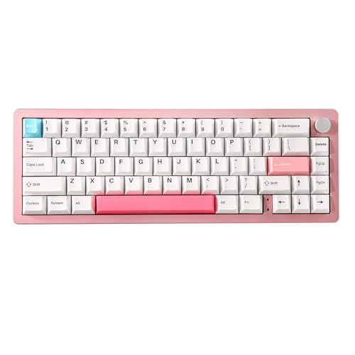 YUNZII AL66 Kabellose mechanische Tastatur, 65% Drehregler Aluminium Gaming Tastatur Bluetooth/2.4G/Wired Hot Swappable Switches, Dichtung montiert RGB Tastatur für Win/Mac(Milk Switch, Pink) von YUNZII