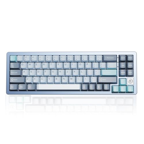 YUNZII AL71 68% mechanische Tastatur, All-Aluminium CNC, Hot-Swap-Ring, 2.4GHz Wireless BT5.0/USB-C Kabel-Gaming-Tastatur, NKRO RGB, für Win/Mac(Blue,Crystal White Switch) von YUNZII