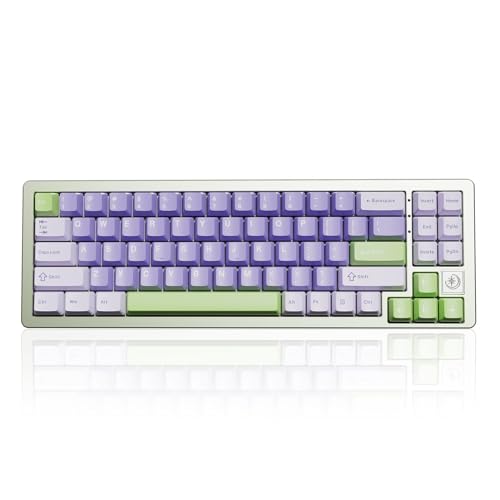YUNZII AL71 68% mechanische Tastatur, All-Aluminium CNC, Hot-Swap-Ring, 2.4GHz Wireless BT5.0/USB-C Kabel-Gaming-Tastatur, NKRO RGB, für Win/Mac(Green,Crystal White Switch) von YUNZII