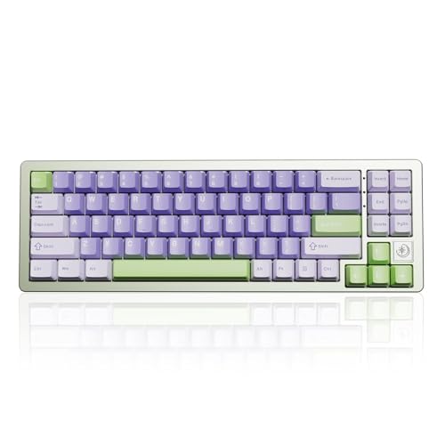 YUNZII AL71 68% mechanische Tastatur, All-Aluminium CNC, Hot-Swap-Ring, 2.4GHz Wireless BT5.0/USB-C Kabel-Gaming-Tastatur, NKRO RGB, für Win/Mac(Green,Silent Switch) von YUNZII