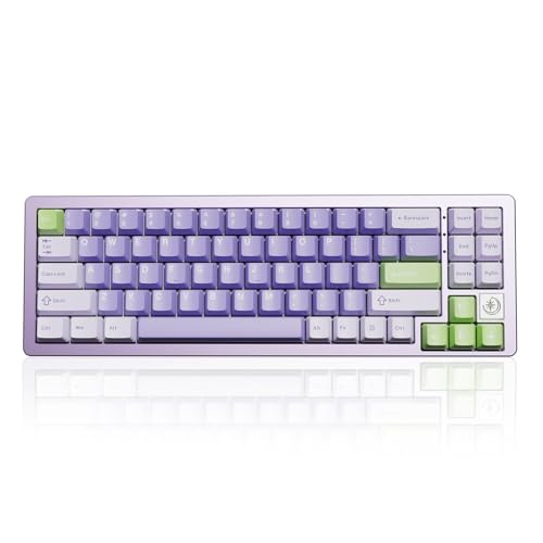 YUNZII AL71 68% mechanische Tastatur, All-Aluminium CNC, Hot-Swap-Ring, 2.4GHz Wireless BT5.0/USB-C Kabel-Gaming-Tastatur, NKRO RGB, für Win/Mac(Purple,Crystal White Switch) von YUNZII