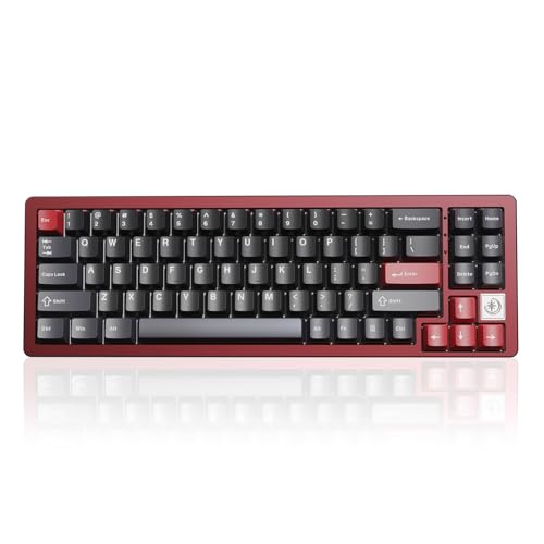 YUNZII AL71 68% mechanische Tastatur, All-Aluminium CNC, Hot-Swap-Ring, 2.4GHz Wireless BT5.0/USB-C Kabel-Gaming-Tastatur, NKRO RGB, für Win/Mac(Red,Crystal White Switch) von YUNZII