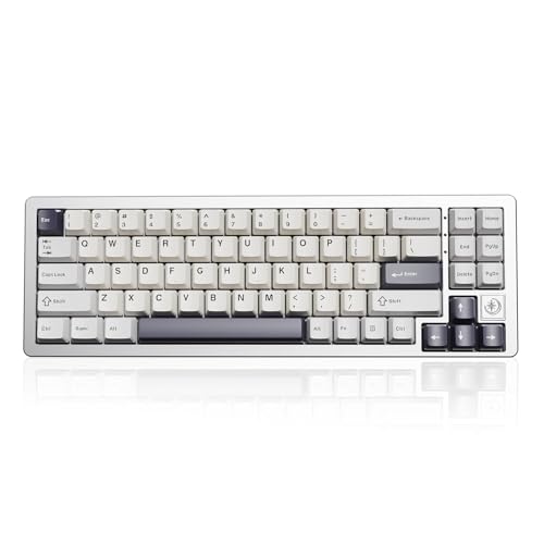YUNZII AL71 68% mechanische Tastatur, Vollaluminium CNC, Hot Swap Dichtung, 2.4GHz Wireless BT5.0/USB-C Wired Gaming Keyboard, NKRO Programmierbare RGB Backlight (White, Crystal White Switch) von YUNZII