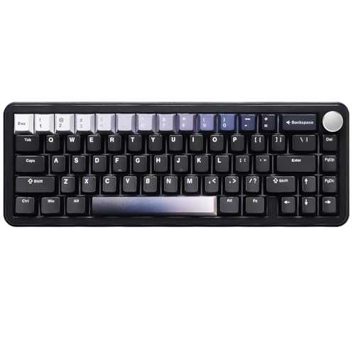 YUNZII B68 Wireless Mechanische Tastatur, Tri-Mode BT5.0/2.4GHz/USB-C Hot Swappable Gasket Cremige Tastatur, RGB Backlit NKRO, Nette Keyboard für Win/Mac (Black, Milk V2 Switch) von YUNZII
