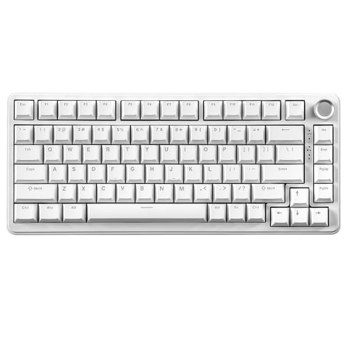 YUNZII B75 Mechanische Tastatur, 75% Hot Swappable Tastatur mit Knopf, RGB Backlit Dichtung Gaming Tastatur mit Double-Shot PBT Keycaps, Kirschprofil (White, Milk v2 linear Switch) von YUNZII