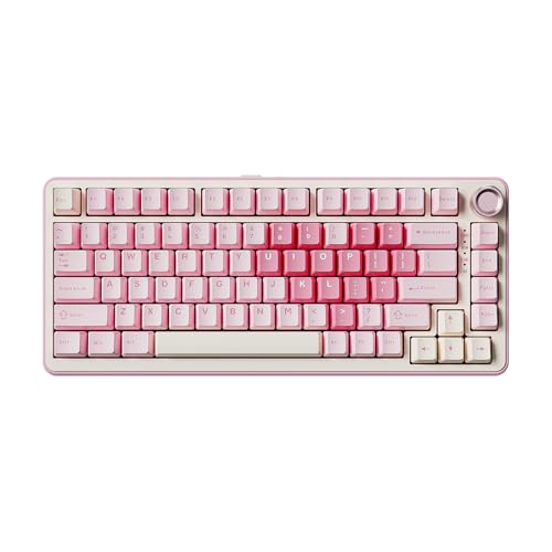 YUNZII B75 PRO Drahtlose Mechanische Tastatur, 75% Gaming Tastatur Dichtung Hot Swap Custom Tastatur mit Knopf, Vorgeschmierte Schalter RGB, Tri-Mode Tastatur (Pink, Cocoa Cream V2 Switch) von YUNZII