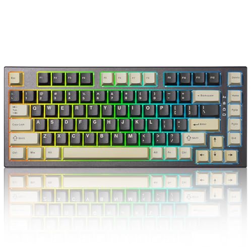 YUNZII RT80 Rapid Trigger Hall Effect Magnetic Switch Gaming Tastatur, BT/2.4GHz/Wired RGB Tastatur, Mount Hot Swap Custom Fast Adjustable Actuation Mechanische Tastatur (Black, gateron White) von YUNZII