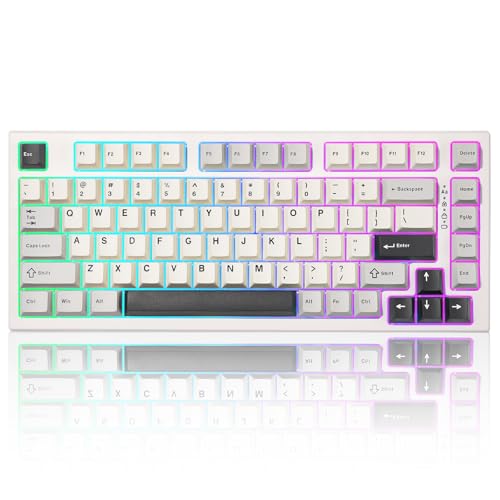YUNZII RT80 Rapid Trigger Hall Effect Magnetic Switch Gaming Tastatur, BT/2.4GHz/Wired RGB Tastatur, Mount Hot Swap Custom Fast Adjustable Actuation Mechanische Tastatur (White, gateron White) von YUNZII