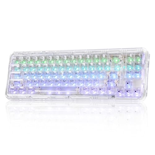 YUNZII X71 Transparente Mechanische Tastatur mit Transparenten Tastenkappen,2.4G/BT5.0/USB-C Kabelgebundene Tastatu 68% Layout, Kabellose RGB-Tastatur mit Dichtung für Win(Crystal Ice Switch,Weiß) von YUNZII