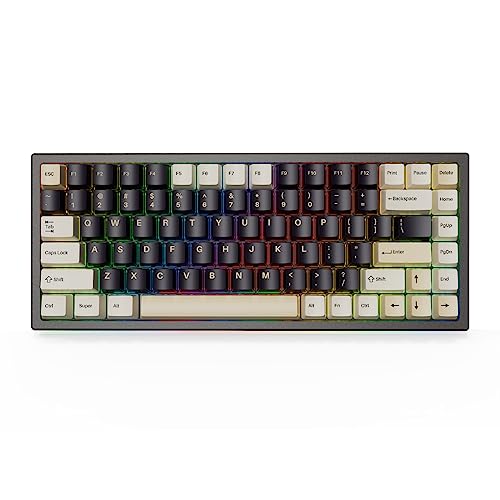 YUNZII YZ84 Pro2 75% Dichtung,Hot-Swappable 2,4 GHz/Bluetooth 5.0/USB-C, kabellose mechanische Gaming-Tastatur, 3100 mAh Akku, RGB für Win/Mac/Gamer (Gateron Black Switch, schwarz) von YUNZII