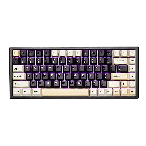 YUNZII YZ84 Pro2 75% Dichtung,Hot-Swappable 2,4 GHz/Bluetooth 5.0/USB-C, kabellose mechanische Gaming-Tastatur, 3100 mAh Akku, RGB für Win/Mac/Gamer (Gateron gelber Schalter, schwarz) von YUNZII