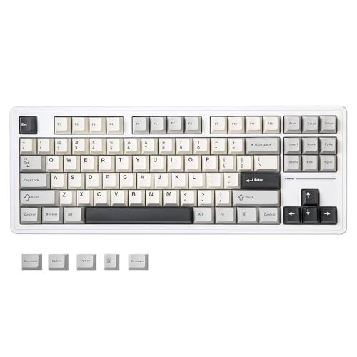 YUNZII YZ87 Dichtung Mechanische Tastatur, TKL Wireless Hot-Swap Gaming Tastatur mit 4-Layer Polsterung, BT5.0/2.4G/USB-C NKRO RGB Hintergrundbeleuchtung Tastatur für Win/Mac(Weiß,Milk Switch) von YUNZII