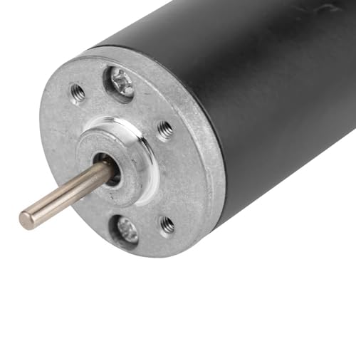 31ZY Permanentmagnetischer Gleichstrommotor Carbon gebürsteter Motor CW/CCW Optional 6V/12V/24V 3500/4000/ 5000/8000 U/min(12V 8000 U/min), Eigener Motor von YWBL-WH