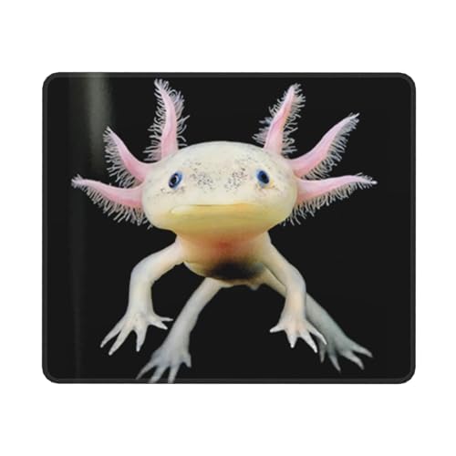YXDVPALNE Axolotl-Druck, Mauspad, rutschfeste Gummiunterseite, wasserdichtes Mauspad, 25 x 30 cm YXDVPALNE Axolotl-Druck, Mauspad, rutschfeste Gummiunterseite, wasserdichtes Mauspad, 25 x 30 cm von YXDVPALNE