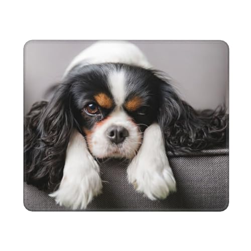 YXDVPALNE Cavalier King Charles Spaniel Hund, Mauspad, rutschfeste Gummiunterseite, wasserdichtes Mauspad, 25 x 30 cm YXDVPALNE Cavalier King Charles Spaniel Hund, Mauspad, rutschfeste Gummiunterseite, wasserdichtes Mauspad, 25 x 30 cm von YXDVPALNE