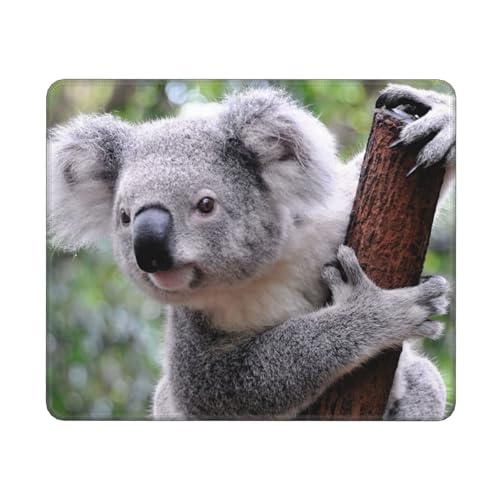 YXDVPALNE Koala auf AST, Mauspad, rutschfeste Gummiunterseite, wasserdichtes Mauspad, 25 x 30 cm YXDVPALNE Koala auf AST, Mauspad, rutschfeste Gummiunterseite, wasserdichtes Mauspad, 25 x 30 cm von YXDVPALNE