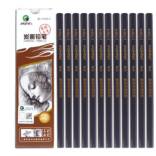 Carbon Malbleistift Kohle Zeichnen Skizze Bleistifte 12 Stück Super Soft von YYMIYU
