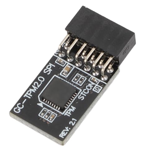 TPM 2.0-Sicherheitsmodul für PC-Motherboard, 12-Pin-SPI-Schnittstellenersatz mit Verschlüsselungs-Sicherheitsmodul-Chip, Optimiert für DDR4-Speichertyp-Motherboards, Geeignet für von Yanmis