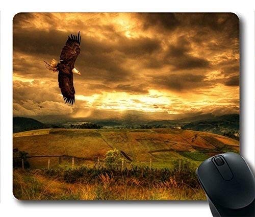 (Maus - Pads) rechteckige Mousepad MIT papagei Adler Custom - Mousepad T061502 Desktop - Mousepad von Notebook - Mousepad von YENDOSTEEN