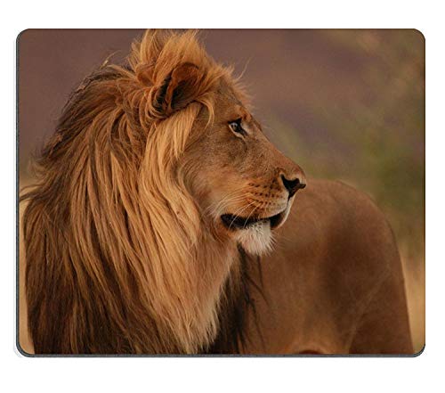 (dauerhafte präzise Gemeinsame Mousepad) naturkautschuk - Gaming - Maus MIT löwen - Namibia Afrika Mouse pad. von YENDOSTEEN