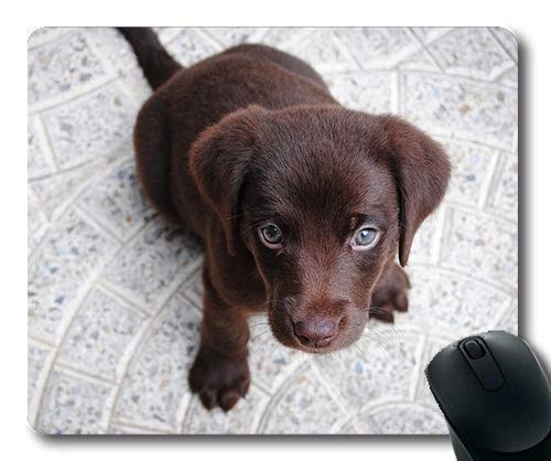 Custom - Mousepad, Hunde welpen pet - Mousepad, Hund Labrador reinrassige Hound Dog, pet - Braun, der Hund Gaming Mouse pad von Yanteng