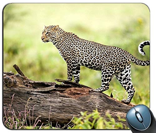 Der Leopard die Tier - und pflanzenwelt personalisierte rechteckige Mousepad, Print - Anti - rutsch - Komfort maßgeschneiderte Computer - Maus - Pads Mousepad - Mousepad von Yanteng