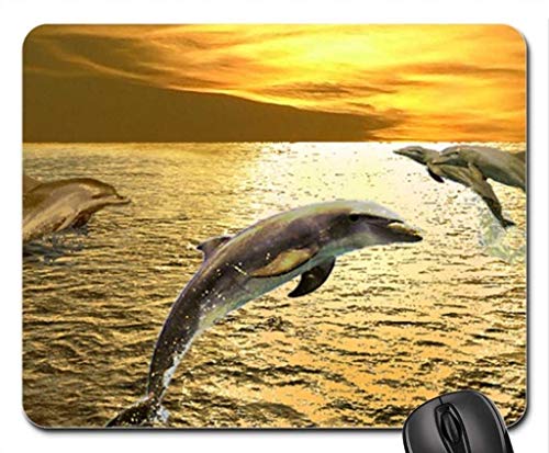 Die Delfine Yanteng Mousepad, Maus - Pads (Dolphin - Mousepad) 002 von Yanteng