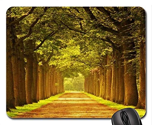 Fine dauerhafte Gemeinsame Kanten Gaming Mouse pad, sonnigen Tagen Mousepad, Maus - Pads (Forest Mouse pad) von Yanteng