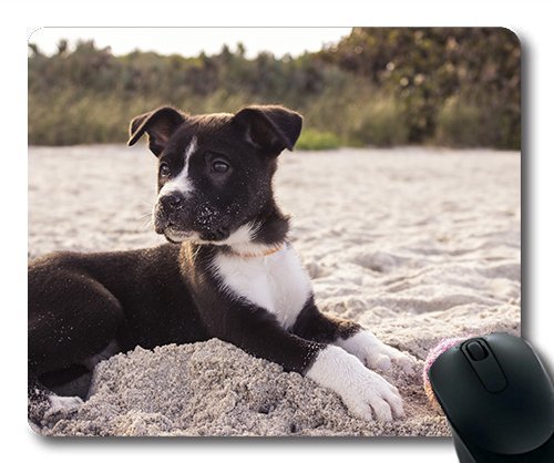 Gaming Mouse Pad. Mac - und Windows - Gamer Spielen Beach - Hunde Hunde - Welpen für Frauen/Männer Yanteng Kinder Verkauft Werden von Artist Unknown