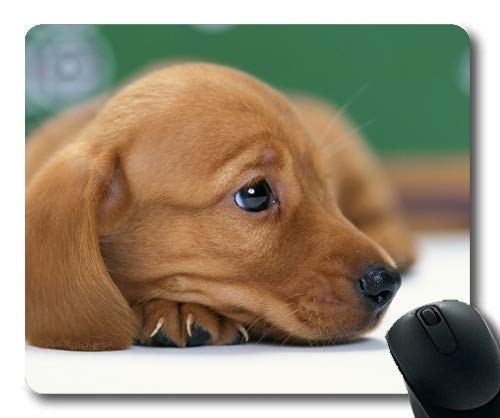 Gaming Mouse Pads, Bunte süße Hund Hund frei, Präzisionsnaht, langlebige Mauspad von Yanteng