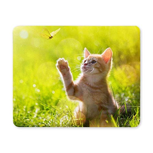 Gaming Mouse pad, Mouse pad - Katze rechteck - Mousepad Gaming Mouse pad von Yanteng