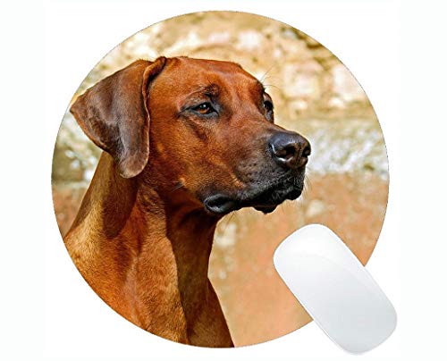 Runde Mauspads, Rhodesian Ridgeback Dog Guard Hund Reinrassiger Hund Gaming Mauspad von Yanteng