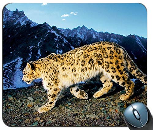SCHLEICH - Snow Leopard personalisierte rechteckige Mousepad, Druck - Skid - Komfort maßgeschneiderte Computer - Maus - Pads Mousepad - Mousepad von YENDOSTEEN