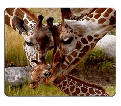 Yanteng (Maus - Pads) Baby - Giraffe Familie Wälder Tier - Mousepad von Yanteng