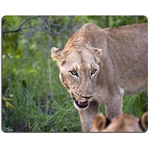 Yanteng (dauerhafte präzise Gemeinsame Mousepad) löwen - Familie Essen - Spiel - Mousepad von YENDOSTEEN