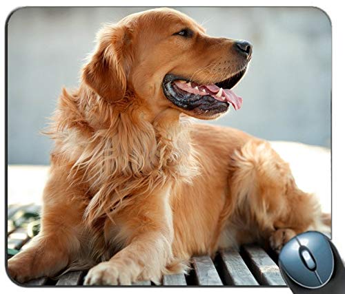 Yanteng Der golden Retriever, der Hund personalisierte rechteckige Mousepad, Druck - Skid - Komfort maßgeschneiderte Computer - Maus - Pads Mousepad - Mousepad von Yanteng